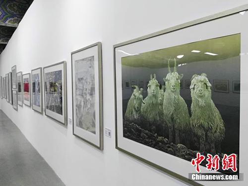 雞西版畫(huà)晉京展，黑土地藝術(shù)之花綻放北京